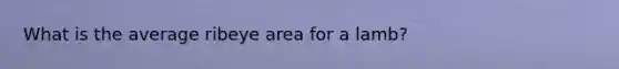 What is the average ribeye area for a lamb?