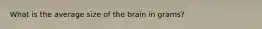 What is the average size of the brain in grams?