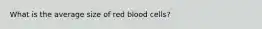 What is the average size of red blood cells?