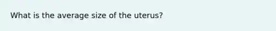 What is the average size of the uterus?