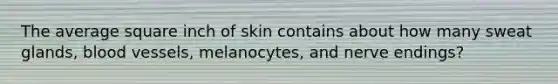 The average square inch of skin contains about how many sweat glands, blood vessels, melanocytes, and nerve endings?