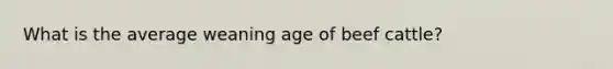 What is the average weaning age of beef cattle?