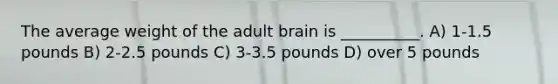 The average weight of the adult brain is __________. A) 1-1.5 pounds B) 2-2.5 pounds C) 3-3.5 pounds D) over 5 pounds