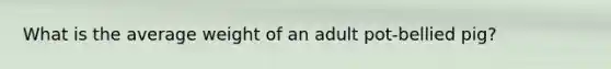 What is the average weight of an adult pot-bellied pig?