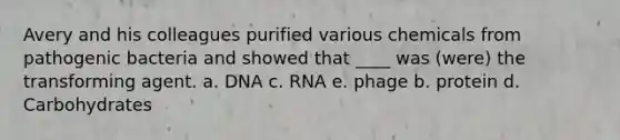 Avery and his colleagues purified various chemicals from pathogenic bacteria and showed that ____ was (were) the transforming agent. a. DNA c. RNA e. phage b. protein d. Carbohydrates