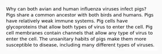 Why can both avian and human influenza viruses infect pigs? Pigs share a common ancestor with both birds and humans. Pigs have relatively weak immune systems. Pig cells have glycoproteins that allow both types of virus to enter the cell. Pig cell membranes contain channels that allow any type of virus to enter the cell. The unsanitary habits of pigs make them more susceptible to disease, including many different types of viruses.