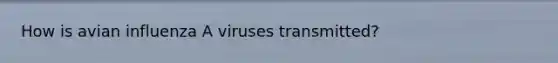 How is avian influenza A viruses transmitted?
