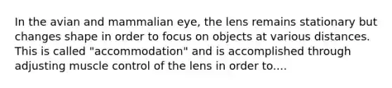 In the avian and mammalian eye, the lens remains stationary but changes shape in order to focus on objects at various distances. This is called "accommodation" and is accomplished through adjusting muscle control of the lens in order to....