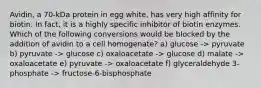 Avidin, a 70-kDa protein in egg white, has very high affinity for biotin. In fact, it is a highly specific inhibitor of biotin enzymes. Which of the following conversions would be blocked by the addition of avidin to a cell homogenate? a) glucose -> pyruvate b) pyruvate -> glucose c) oxaloacetate -> glucose d) malate -> oxaloacetate e) pyruvate -> oxaloacetate f) glyceraldehyde 3-phosphate -> fructose-6-bisphosphate