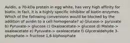 Avidin, a 70-kDa protein in egg white, has very high affinity for biotin. In fact, it is a highly specific inhibitor of biotin enzymes. Which of the following conversions would be blocked by the addition of avidin to a cell homogenate? a) Glucose-> pyruvate b) Pyruvate-> glucose c) Oxaloacetate-> glucose d) Malate-> oxaloacetate e) Pyruvate-> oxaloacetate f) Glyceraldehyde 3-phosphate-> fructose 1,6-biphosphate