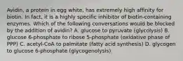 Avidin, a protein in egg white, has extremely high affinity for biotin. In fact, it is a highly specific inhibitor of biotin-containing enzymes. Which of the following conversations would be blocked by the addition of avidin? A. glucose to pyruvate (glycolysis) B. glucose 6-phosphate to ribose 5-phosphate (oxidative phase of PPP) C. acetyl-CoA to palmitate (fatty acid synthesis) D. glycogen to glucose 6-phosphate (glycogenolysis)