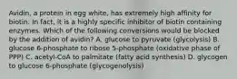 Avidin, a protein in egg white, has extremely high affinity for biotin. In fact, it is a highly specific inhibitor of biotin containing enzymes. Which of the following conversions would be blocked by the addition of avidin? A. glucose to pyruvate (glycolysis) B. glucose 6-phosphate to ribose 5-phosphate (oxidative phase of PPP) C. acetyl-CoA to palmitate (fatty acid synthesis) D. glycogen to glucose 6-phosphate (glycogenolysis)