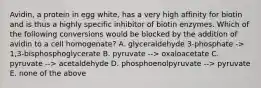 Avidin, a protein in egg white, has a very high affinity for biotin and is thus a highly specific inhibitor of biotin enzymes. Which of the following conversions would be blocked by the addition of avidin to a cell homogenate? A. glyceraldehyde 3-phosphate -> 1,3-bisphosphoglycerate B. pyruvate --> oxaloacetate C. pyruvate --> acetaldehyde D. phosphoenolpyruvate --> pyruvate E. none of the above