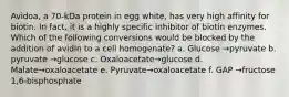 Avidoa, a 70-kDa protein in egg white, has very high affinity for biotin. In fact, it is a highly specific inhibitor of biotin enzymes. Which of the following conversions would be blocked by the addition of avidin to a cell homogenate? a. Glucose →pyruvate b. pyruvate →glucose c. Oxaloacetate→glucose d. Malate→oxaloacetate e. Pyruvate→oxaloacetate f. GAP →fructose 1,6-bisphosphate