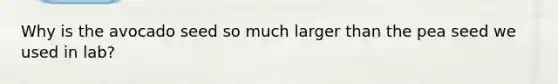 Why is the avocado seed so much larger than the pea seed we used in lab?