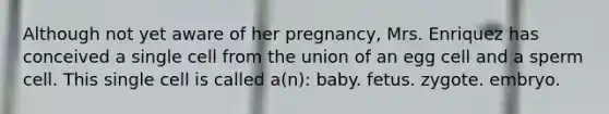 Although not yet aware of her pregnancy, Mrs. Enriquez has conceived a single cell from the union of an egg cell and a sperm cell. This single cell is called a(n): baby. fetus. zygote. embryo.