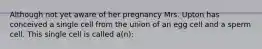 Although not yet aware of her pregnancy Mrs. Upton has conceived a single cell from the union of an egg cell and a sperm cell. This single cell is called a(n):