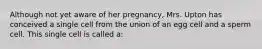 Although not yet aware of her pregnancy, Mrs. Upton has conceived a single cell from the union of an egg cell and a sperm cell. This single cell is called a: