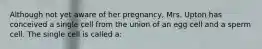 Although not yet aware of her pregnancy, Mrs. Upton has conceived a single cell from the union of an egg cell and a sperm cell. The single cell is called a: