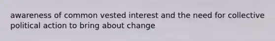 awareness of common vested interest and the need for collective political action to bring about change