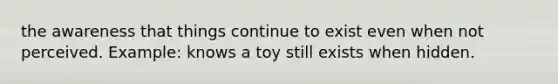 the awareness that things continue to exist even when not perceived. Example: knows a toy still exists when hidden.