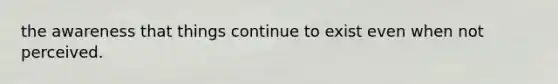 the awareness that things continue to exist even when not perceived.