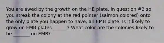 You are awed by the growth on the HE plate, in question #3 so you streak the colony at the red pointer (salmon-colored) onto the only plate you happen to have, an EMB plate. Is it likely to grow on EMB plates ______? What color are the colonies likely to be _______ on EMB?