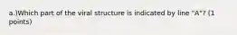 a.)Which part of the viral structure is indicated by line "A"? (1 points)