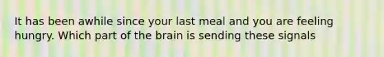 It has been awhile since your last meal and you are feeling hungry. Which part of the brain is sending these signals