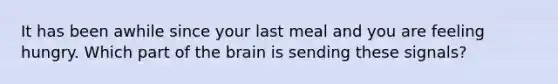 It has been awhile since your last meal and you are feeling hungry. Which part of the brain is sending these signals?