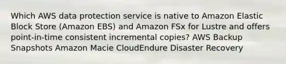 Which AWS data protection service is native to Amazon Elastic Block Store (Amazon EBS) and Amazon FSx for Lustre and offers point-in-time consistent incremental copies? AWS Backup Snapshots Amazon Macie CloudEndure Disaster Recovery