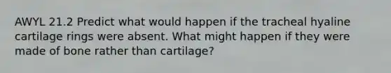 AWYL 21.2 Predict what would happen if the tracheal hyaline cartilage rings were absent. What might happen if they were made of bone rather than cartilage?