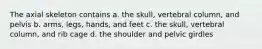 The axial skeleton contains a. the skull, vertebral column, and pelvis b. arms, legs, hands, and feet c. the skull, vertebral column, and rib cage d. the shoulder and pelvic girdles