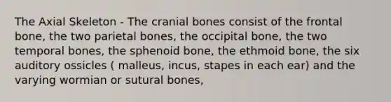 The Axial Skeleton - The cranial bones consist of the frontal bone, the two parietal bones, the occipital bone, the two temporal bones, the sphenoid bone, the ethmoid bone, the six auditory ossicles ( malleus, incus, stapes in each ear) and the varying wormian or sutural bones,