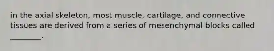 in the axial skeleton, most muscle, cartilage, and connective tissues are derived from a series of mesenchymal blocks called ________.