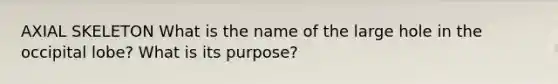 AXIAL SKELETON What is the name of the large hole in the occipital lobe? What is its purpose?