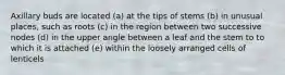 Axillary buds are located (a) at the tips of stems (b) in unusual places, such as roots (c) in the region between two successive nodes (d) in the upper angle between a leaf and the stem to to which it is attached (e) within the loosely arranged cells of lenticels