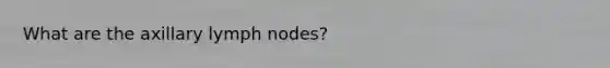 What are the axillary lymph nodes?