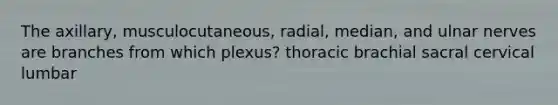 The axillary, musculocutaneous, radial, median, and ulnar nerves are branches from which plexus? thoracic brachial sacral cervical lumbar