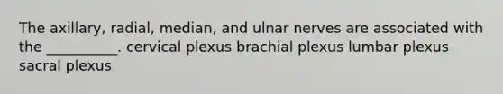 The axillary, radial, median, and ulnar nerves are associated with the __________. cervical plexus brachial plexus lumbar plexus sacral plexus