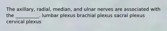 The axillary, radial, median, and ulnar nerves are associated with the __________. lumbar plexus brachial plexus sacral plexus cervical plexus