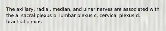 The axillary, radial, median, and ulnar nerves are associated with the a. sacral plexus b. lumbar plexus c. cervical plexus d. brachial plexus