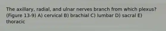 The axillary, radial, and ulnar nerves branch from which plexus? (Figure 13-9) A) cervical B) brachial C) lumbar D) sacral E) thoracic