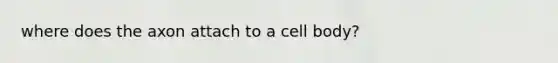 where does the axon attach to a cell body?