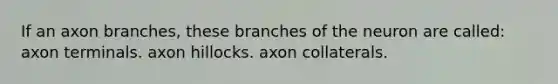 If an axon branches, these branches of the neuron are called: axon terminals. axon hillocks. axon collaterals.