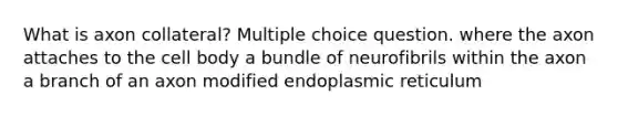 What is axon collateral? Multiple choice question. where the axon attaches to the cell body a bundle of neurofibrils within the axon a branch of an axon modified endoplasmic reticulum