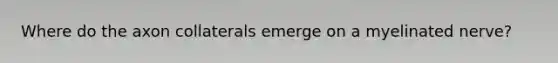 Where do the axon collaterals emerge on a myelinated nerve?