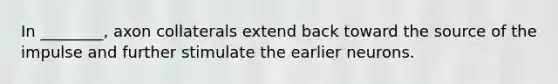 In ________, axon collaterals extend back toward the source of the impulse and further stimulate the earlier neurons.