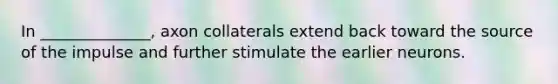 In ______________, axon collaterals extend back toward the source of the impulse and further stimulate the earlier neurons.