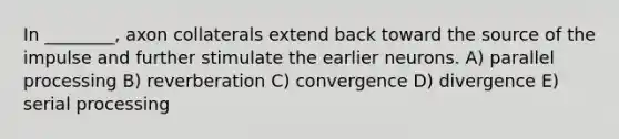 In ________, axon collaterals extend back toward the source of the impulse and further stimulate the earlier neurons. A) parallel processing B) reverberation C) convergence D) divergence E) serial processing